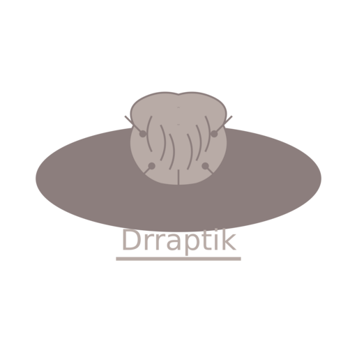 Logo de Drraptik